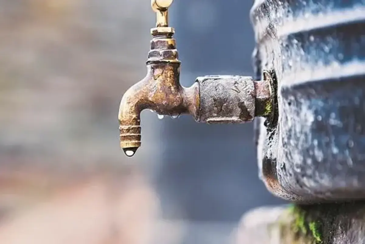 1586798594 7043.jpg 4